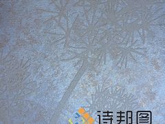 中國(guó)新型環(huán)保建材--買優(yōu)惠的綠色建材,就來(lái)詩(shī)邦圖-詩(shī)邦圖(中國(guó))品牌運(yùn)營(yíng)總部提供中國(guó)新型環(huán)保建材--買優(yōu)惠的綠色建材,就來(lái)詩(shī)邦圖的相關(guān)介紹、產(chǎn)品、服務(wù)、圖片、價(jià)格肌理漆、肌理壁膜、福建肌理漆、肌理壁膜漆代理、硅藻泥廠家、肌理液體壁紙、