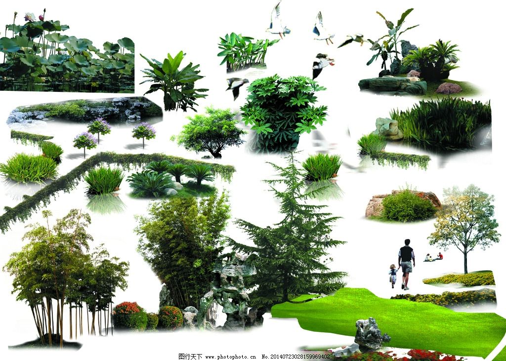 植物素材在園林景觀設(shè)計(jì)中的應(yīng)用與視覺呈現(xiàn)